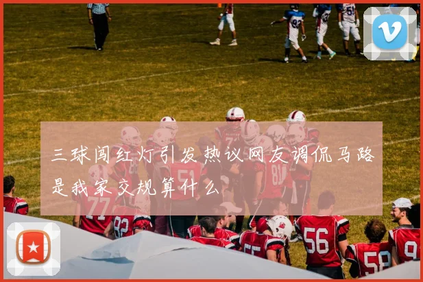 三球闯红灯引发热议网友调侃马路是我家交规算什么