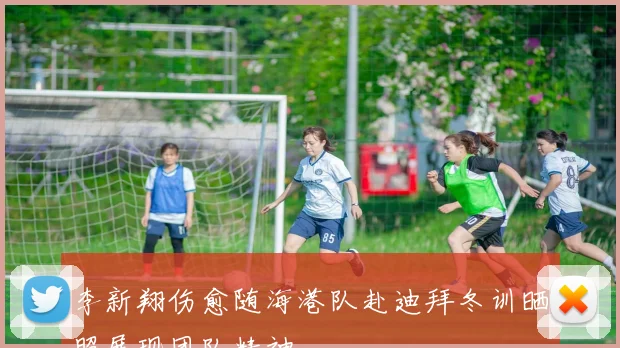 李新翔伤愈随海港队赴迪拜冬训晒照展现团队精神